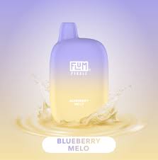 Flum Pebble BLUEBERRY MELO